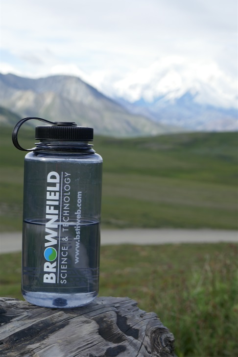 Discovering the beauty of Denali National Park