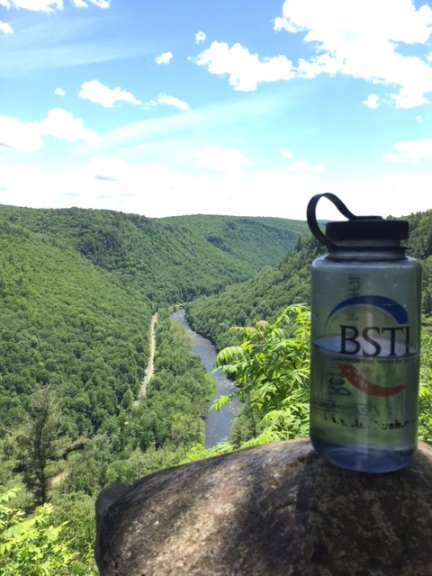 Admiring the PA Grand Canyon